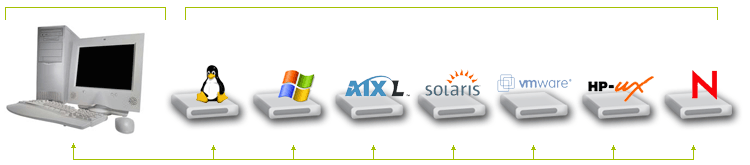 Linux Server Monitoring,Windows Server Monitoring,AIX Server 