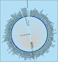 IT Topology Dashboard
