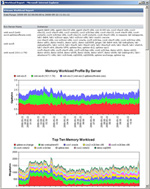 VMware Performance and VMware Report