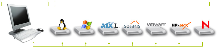 Linux Server Monitoring,Windows Server Monitoring,AIX Server 